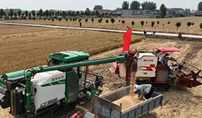 麥?zhǔn)赵庥鰻€場雨，面粉出廠價(jià)“狂飆”，一袋暴漲15元！