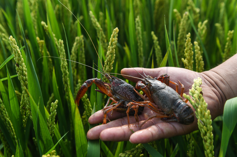 1692149964443585.png 1692149964443585.png