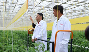 馬家廚房？馬家秘制老鴨煲？馬云的“假動作”為何讓市場興奮？