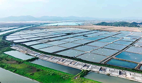 從魚塘到餐桌6重把控，半天妖攜手恒興“定向”養(yǎng)好一條魚