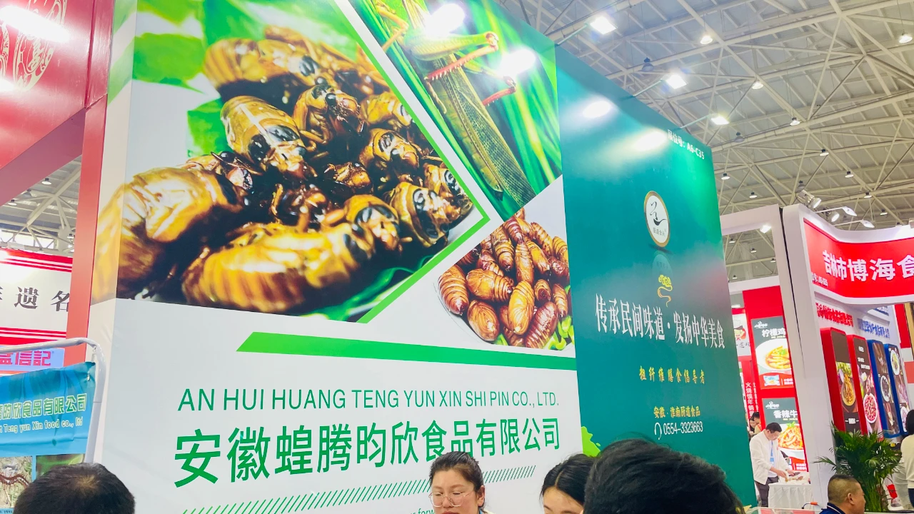 1712543791460513.jpg 1712543791460513.jpg