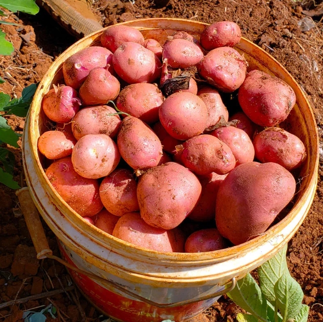 1713926173319306.png 微信截圖_20240424100925.png