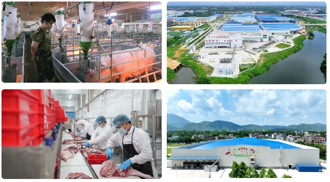 1725844643971544.png 微信截圖_20240909091439.png