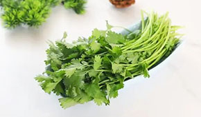 香菜餅、香菜丸、香菜油條、香菜小酥肉…香菜為啥這么“香”？