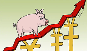 牧原、溫氏、新希望…業(yè)績大漲，扭虧為盈，豬企龍頭集體走出“至暗時刻”？