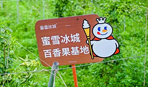 今日上市！覆蓋全球六大洲38個國家，“雪王”的采購網(wǎng)到底有多牛？