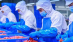 大流通“滑坡”，凍品商“卷”入餐飲終端求增長(zhǎng)